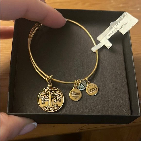 Alex and Ani Jewelry Box (Tree of Life) - Picture 1 of 2